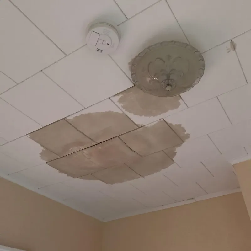 Ceiling Water Damage Repair in Creston, OH