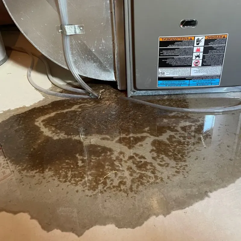 Pipe Burst and Leak Restoration in Creston, OH