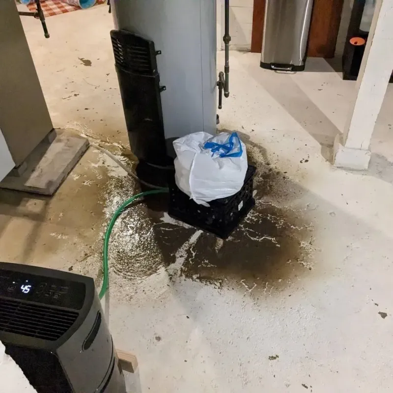 Sewage Backup Cleanup Service in Creston, OH